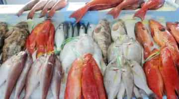 أسعار الأسماك والمأكولات البحرية اليوم في سوق العبور.. تراجع البلطي